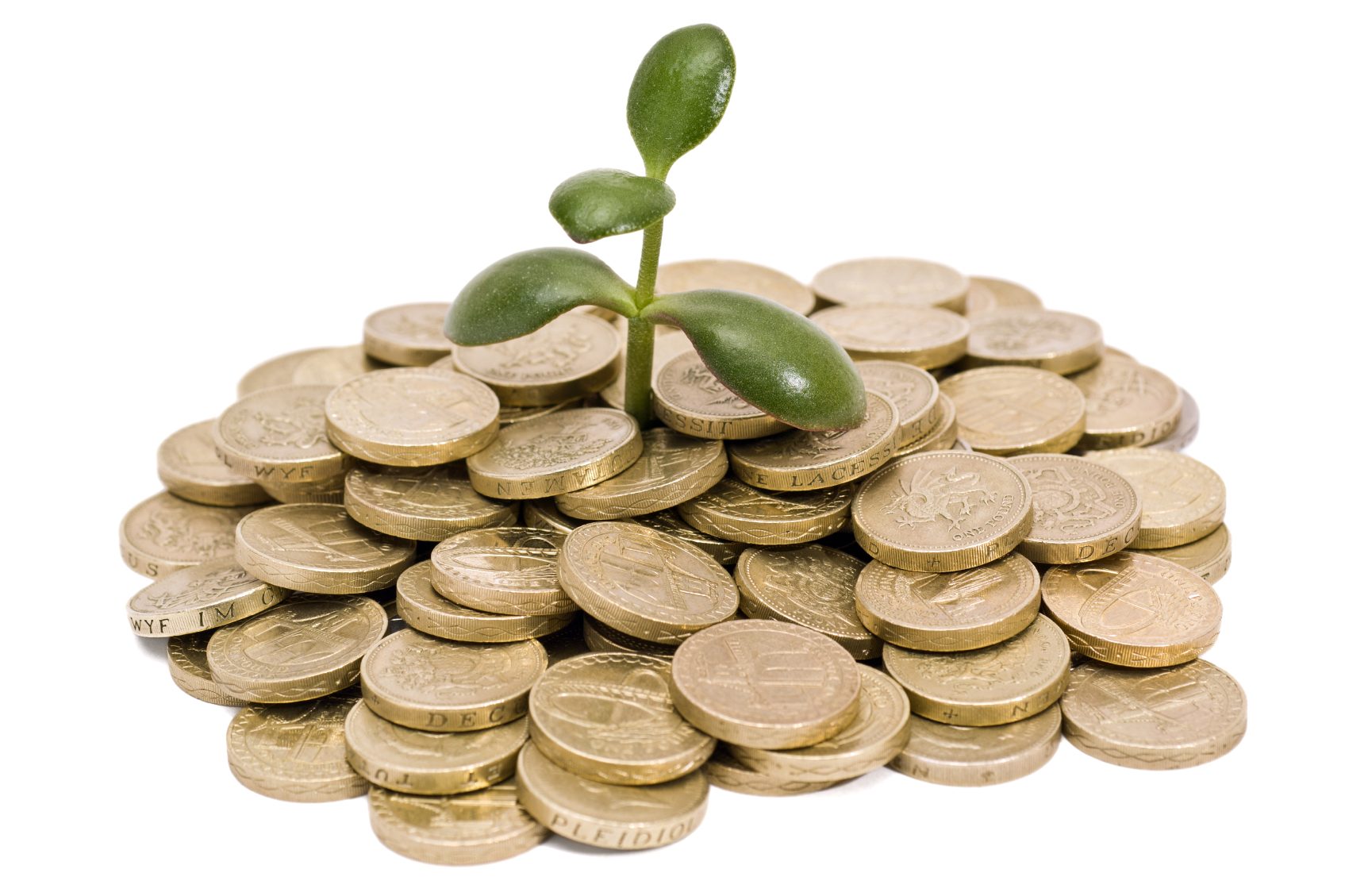 Wachstumsfinanzierung